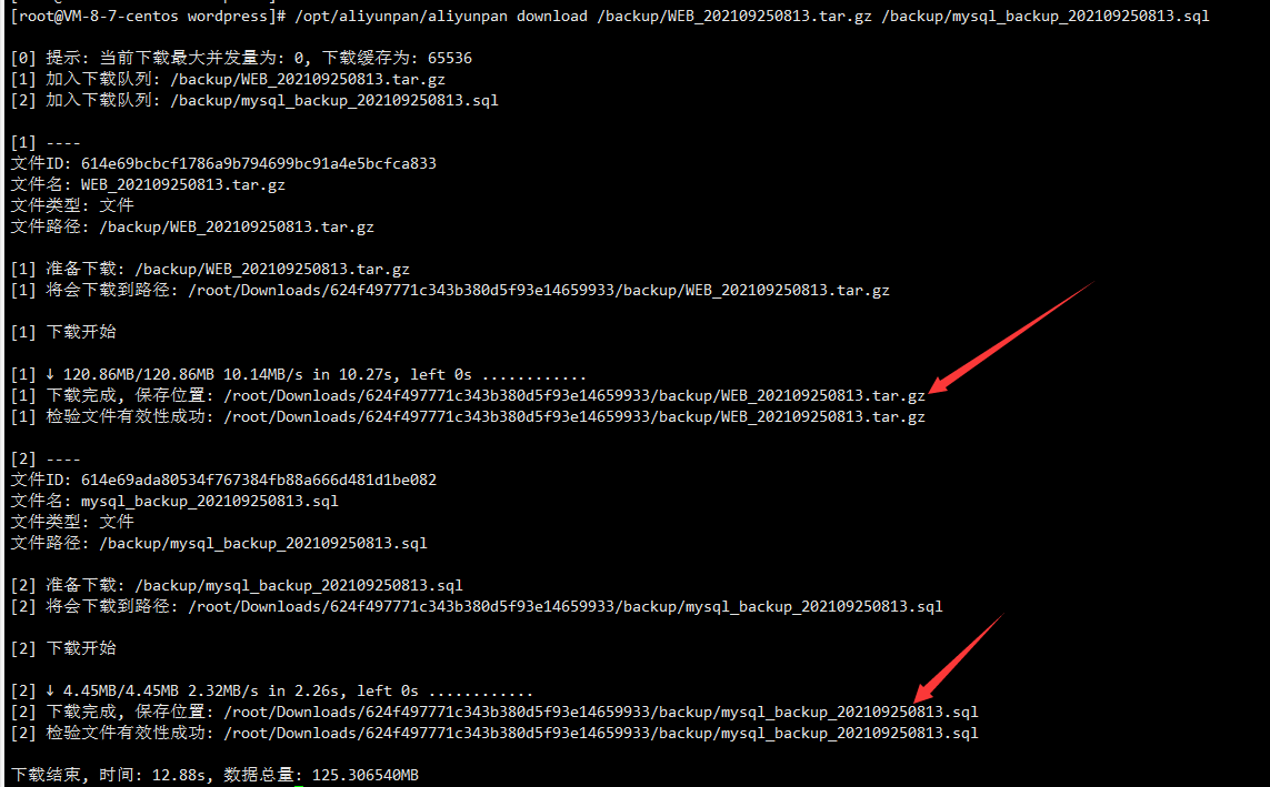 aliyunpan_download_file.